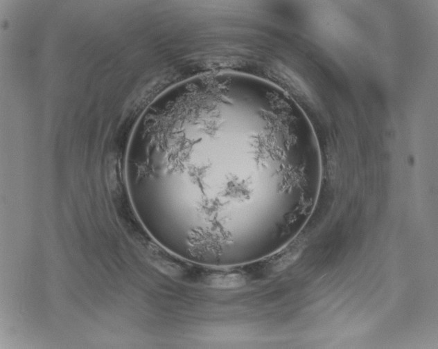 X0000073450169200608041036