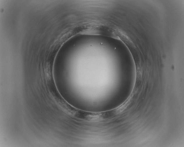 X0000073450170200608041036