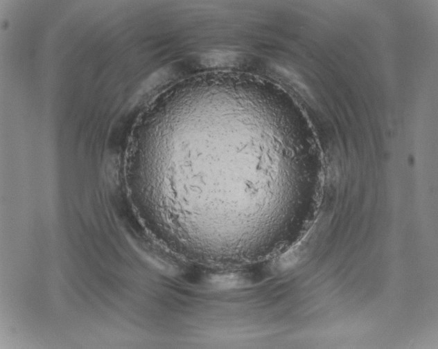 X0000073450171200608041036