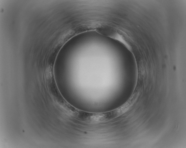 X0000073450172200608041036