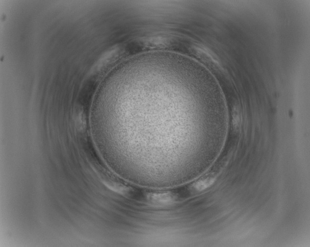 X0000073450173200608041036