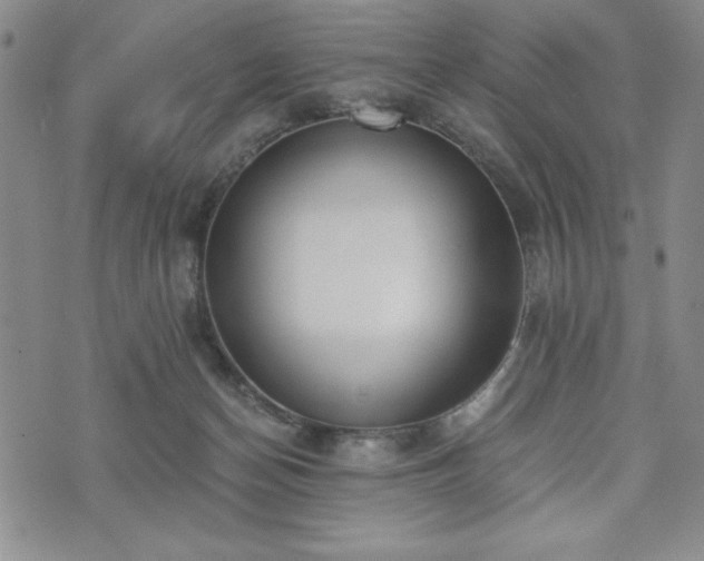 X0000073450174200608041036