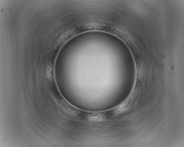 X0000073450175200608041037