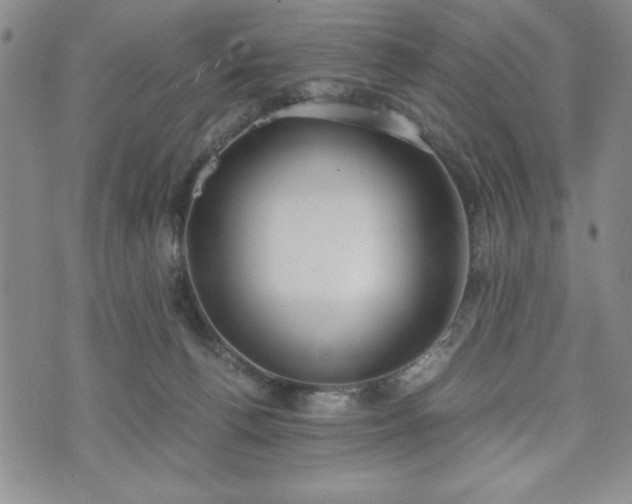 X0000073450176200608041037