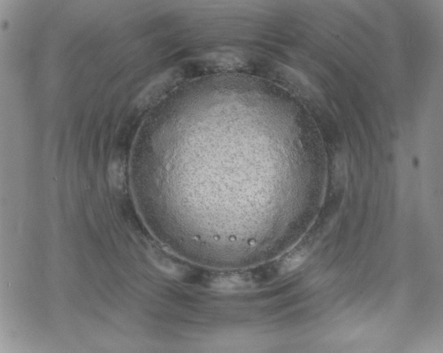 X0000073450177200608041037