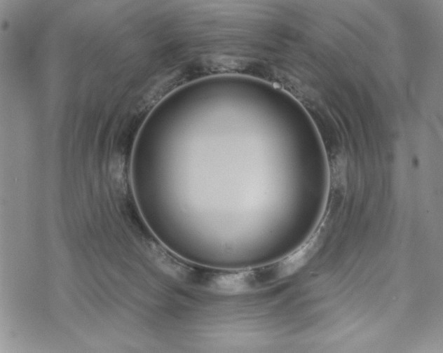 X0000073450178200608041037