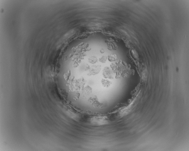 X0000073450179200608041037