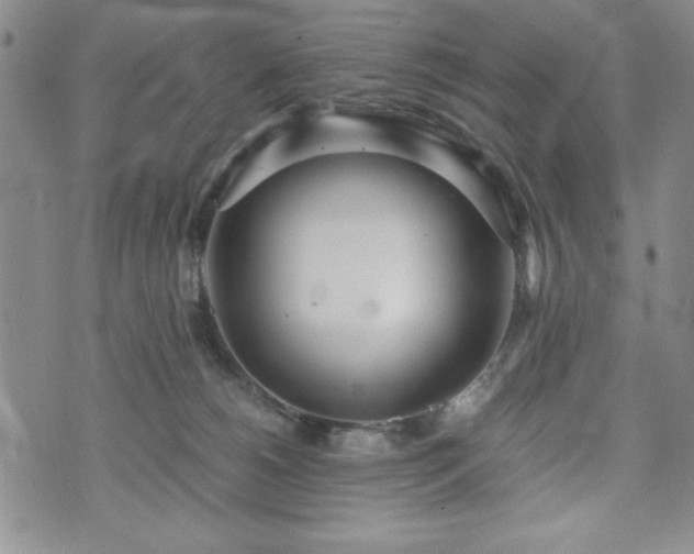 X0000073450180200608041037