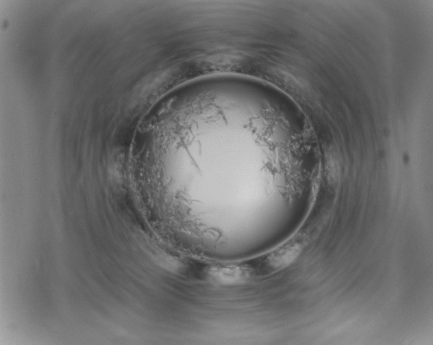 X0000073450181200608041037