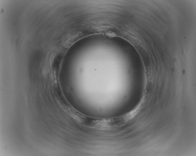 X0000073450182200608041037