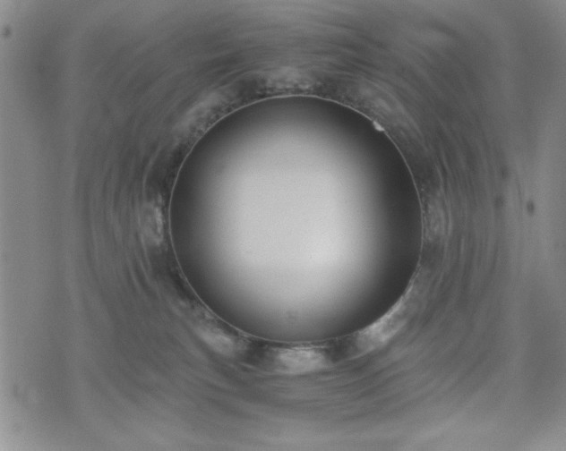 X0000073450183200608041037