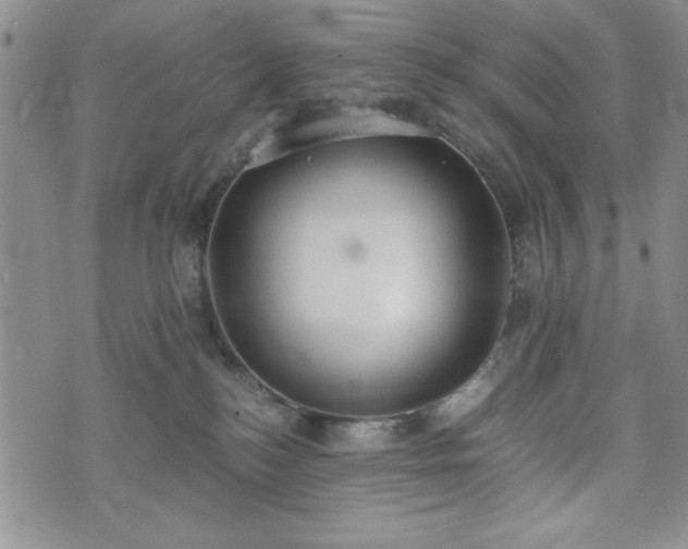 X0000073450184200608041037