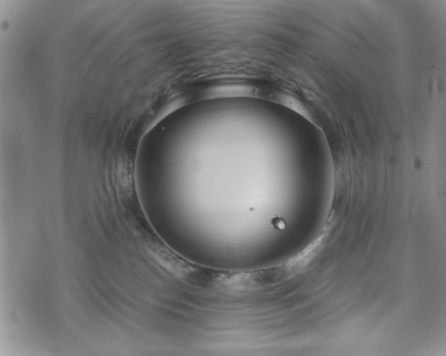 X0000073450186200608041037