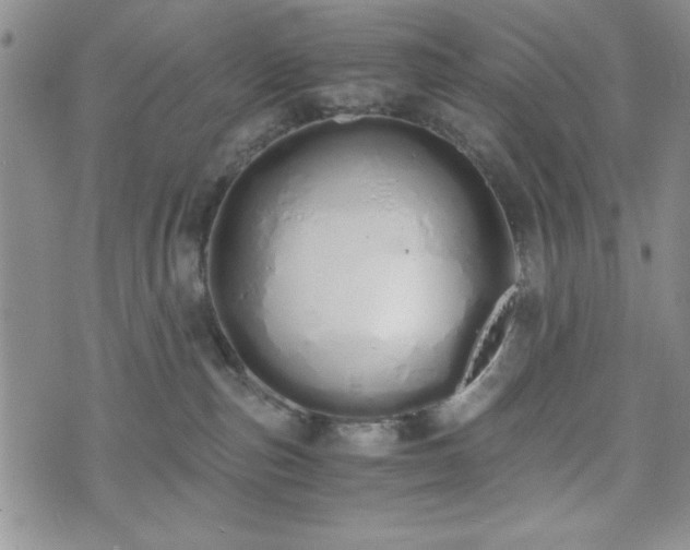 X0000073450187200608041037