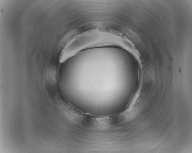 X0000073450188200608041037