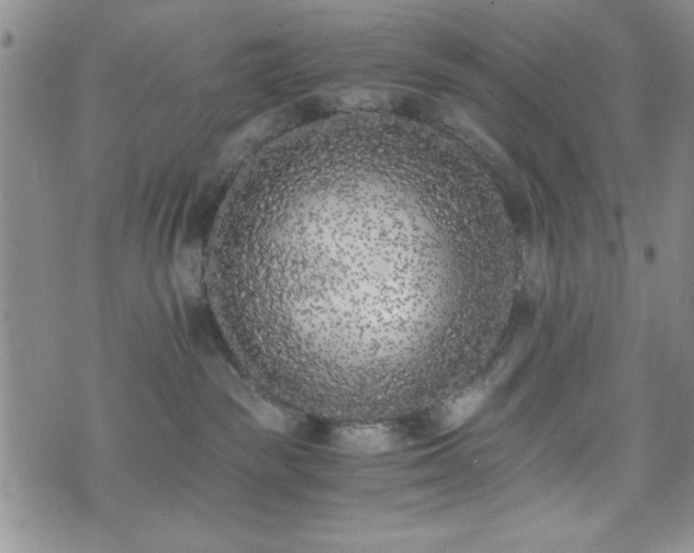 X0000073450189200608041037