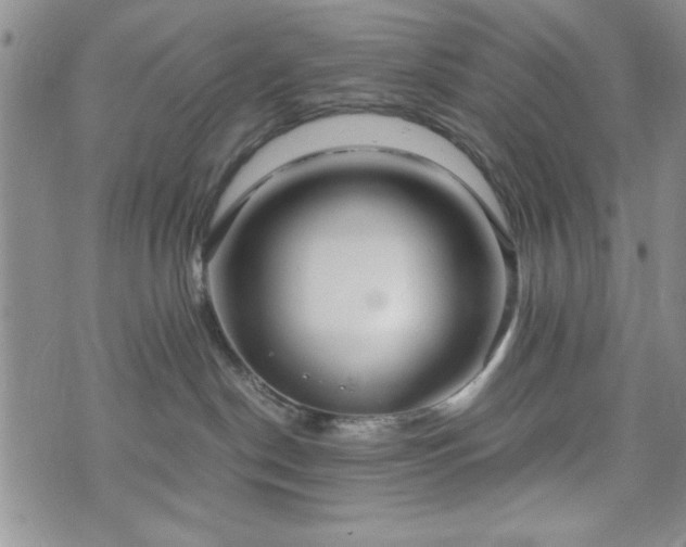 X0000073450190200608041037