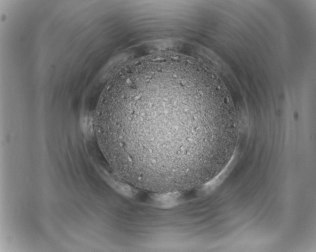 X0000073450191200608041037