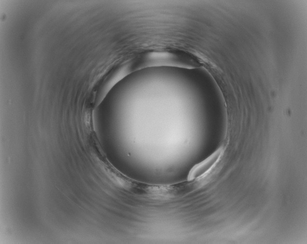 X0000073450192200608041037