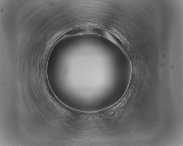 X0000073450193200608041036