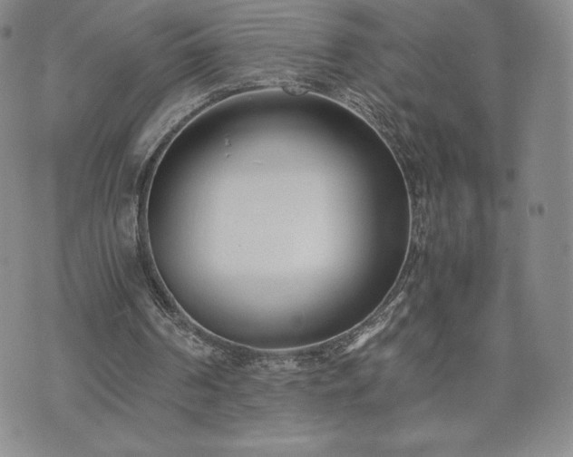 X0000073450194200608041036