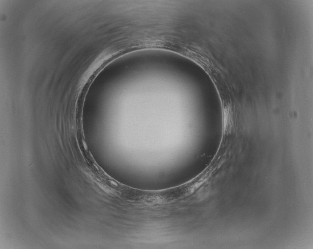 X0000073450195200608041036