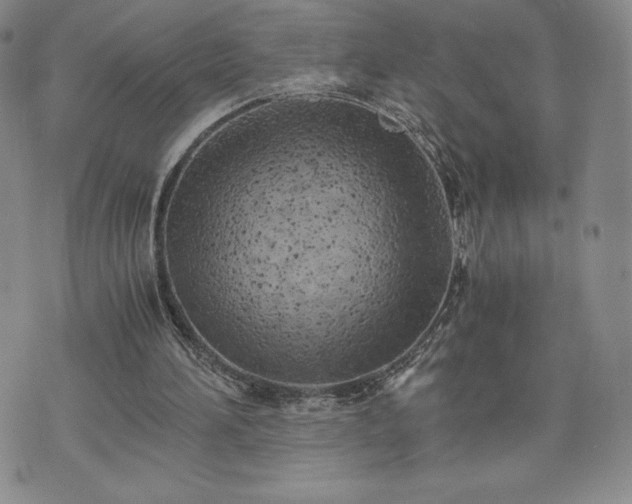 X0000073450196200608041036