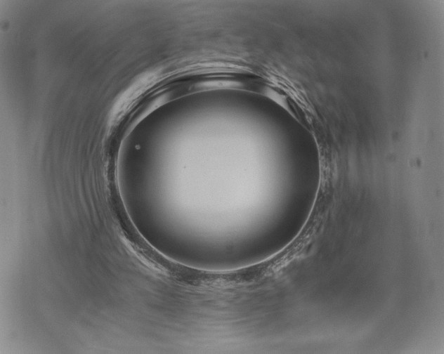 X0000073450197200608041036