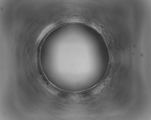 X0000073450199200608041036