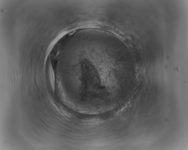 X0000073450200200608041036