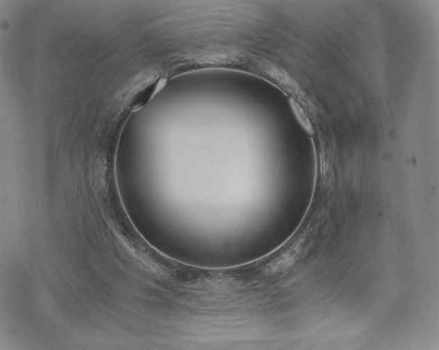 X0000073450201200608041036