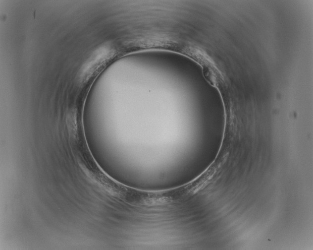 X0000073450202200608041036