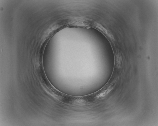 X0000073450203200608041036