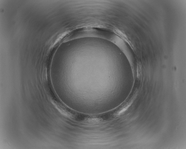 X0000073450205200608041036