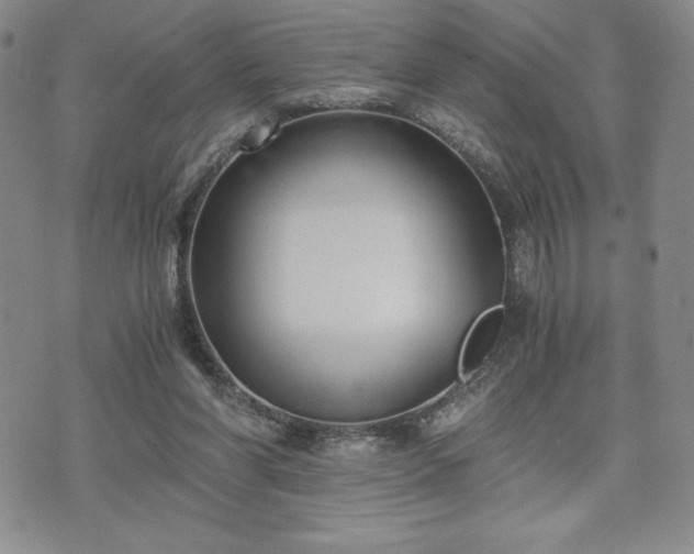 X0000073450206200608041036