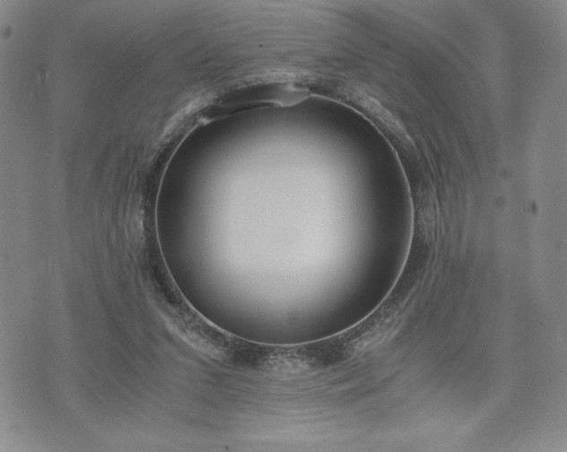 X0000073450207200608041036