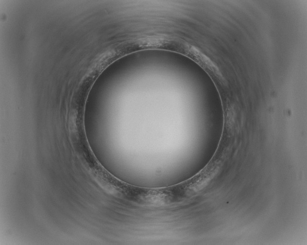 X0000073450209200608041036