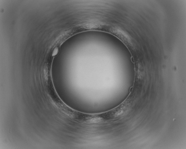 X0000073450210200608041036