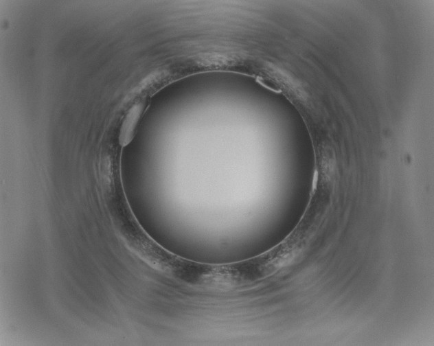 X0000073450211200608041036