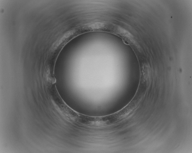 X0000073450212200608041036