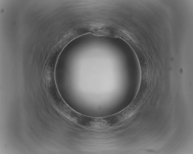 X0000073450215200608041036