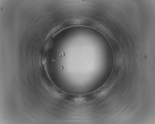 X0000073450216200608041036