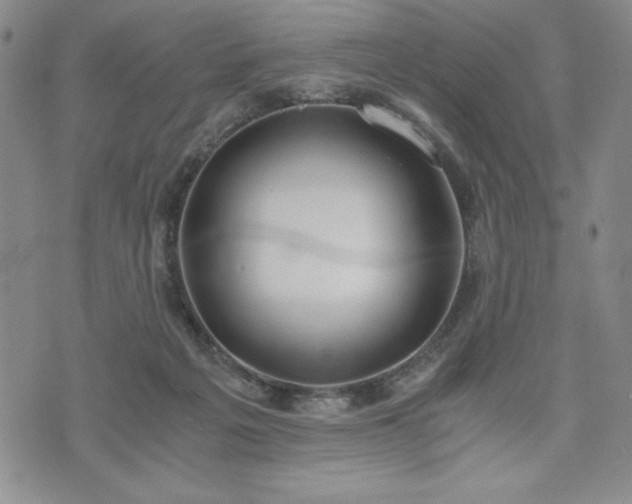 X0000073450217200608041036