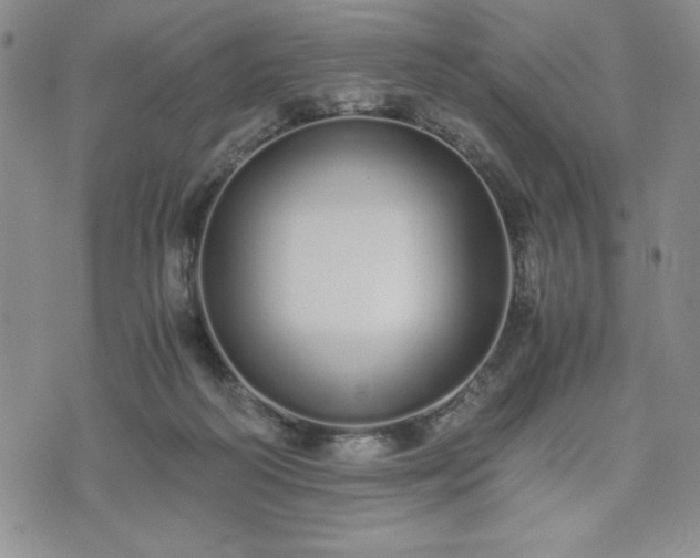 X0000073450218200608041036