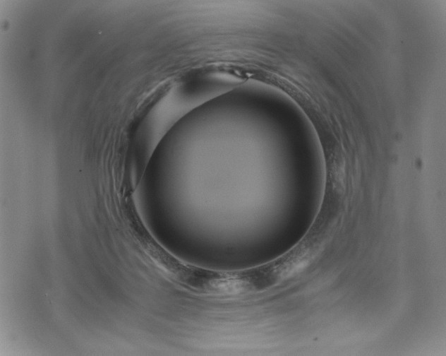 X0000073450219200608041036