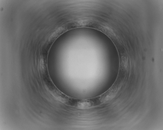 X0000073450220200608041036