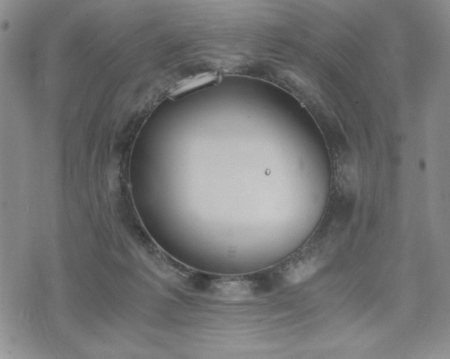 X0000073450221200608041036