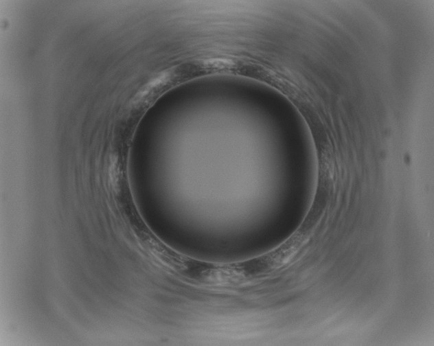 X0000073450223200608041036