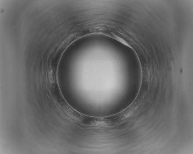 X0000073450224200608041036