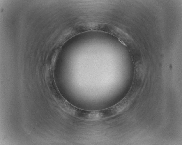 X0000073450225200608041035